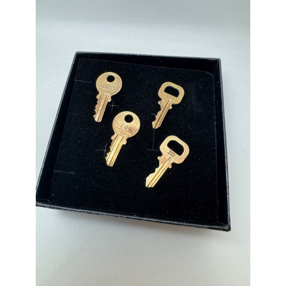 Louis Vuitton Padlock Key Replacement LV Lock‎ Keys #202 304 Authentic
